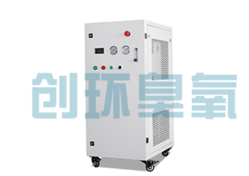 垫江石斑鱼养殖水质调控完整指南:臭氧发生器配置与操作步骤