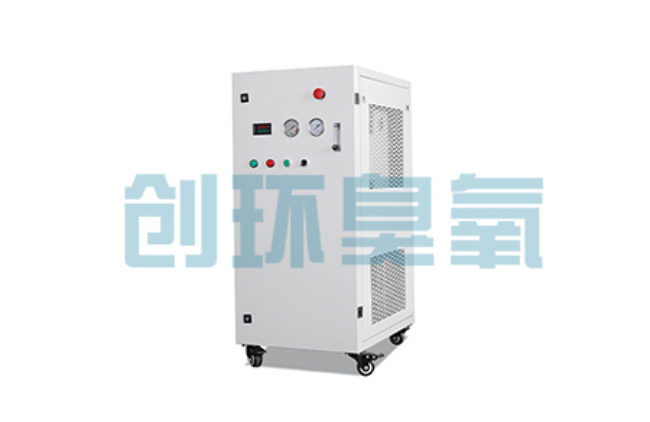 垫江比传统换水更高效?臭氧发生器在石斑鱼养殖中的水质净化原理解析